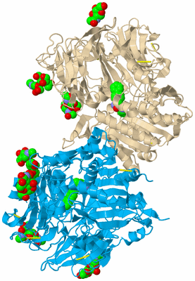 Image Asym./Biol. Unit