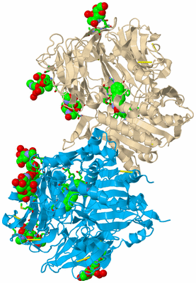 Image Asym./Biol. Unit - sites