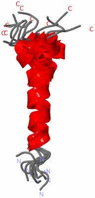 Image NMR Structure - all models