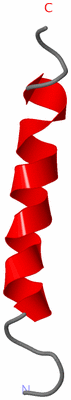 Image NMR Structure - model 1