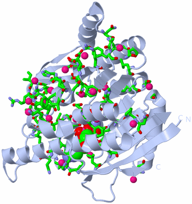 Image Biol. Unit 1 - sites