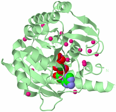 Image Biological Unit 2