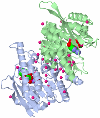 Image Biological Unit 3