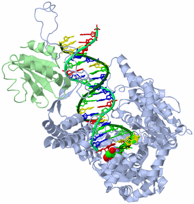 Image Biological Unit 1