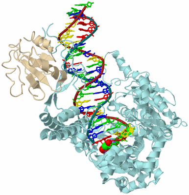 Image Biological Unit 2