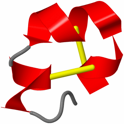 Image NMR Structure - model 1