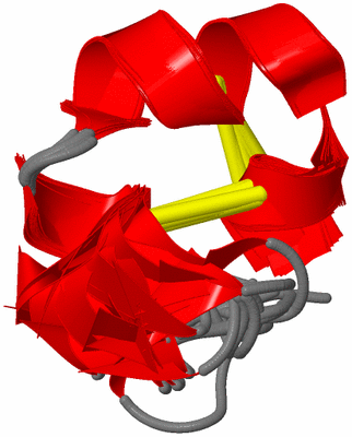 Image NMR Structure - all models