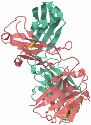 Image Biol. Unit 1 - sites