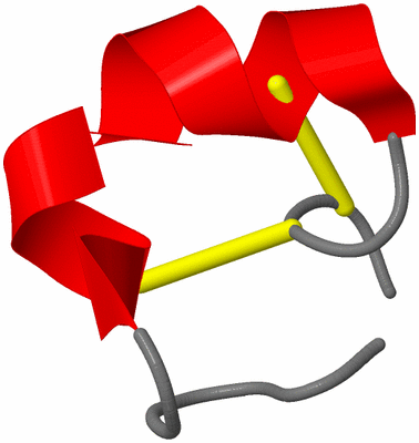 Image NMR Structure - model 1