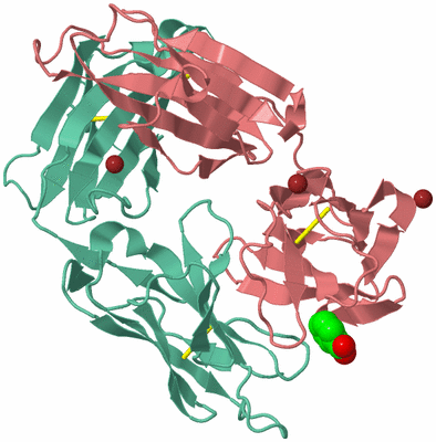 Image Biological Unit 1