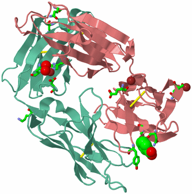 Image Biol. Unit 1 - sites