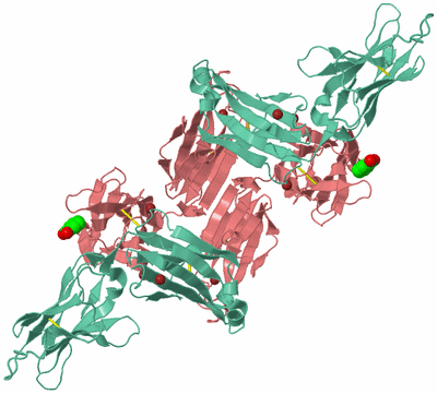 Image Biological Unit 2