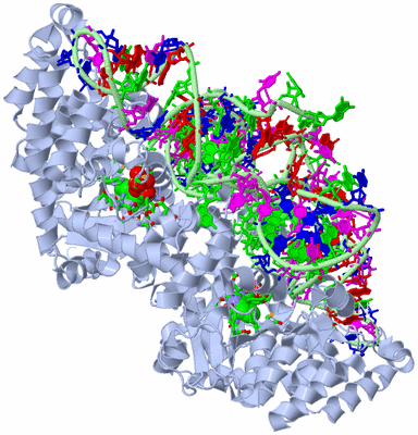 Image Biol. Unit 1 - sites