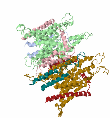 Image Asym./Biol. Unit