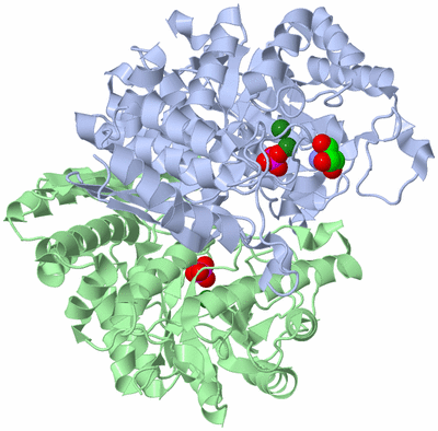 Image Asym./Biol. Unit