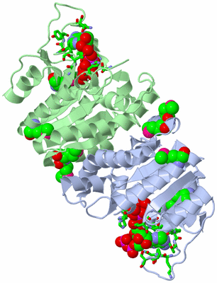 Image Biol. Unit 1 - sites