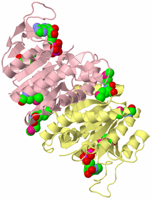 Image Biological Unit 2