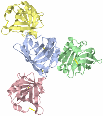 Image Asymmetric Unit