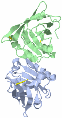 Image Biological Unit 1