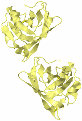 Image Biological Unit 3