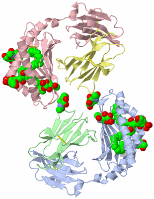 Image Biological Unit 4