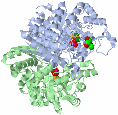 Image Asym./Biol. Unit