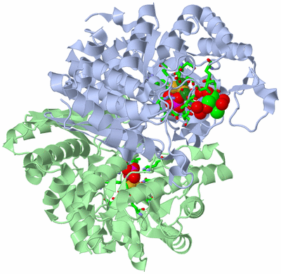 Image Asym./Biol. Unit - sites