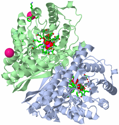 Image Asym./Biol. Unit - sites