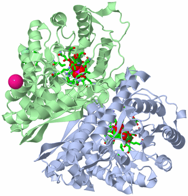 Image Asym./Biol. Unit - sites