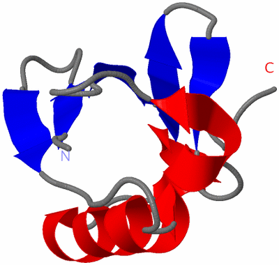 Image NMR Structure - model 1