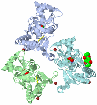 Image Biological Unit 1