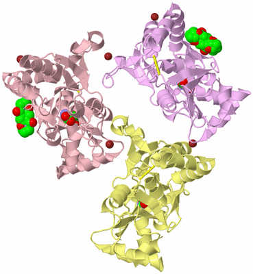 Image Biological Unit 2