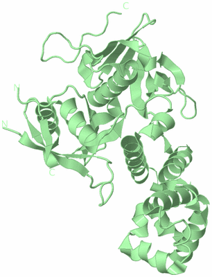 Image Biological Unit 2