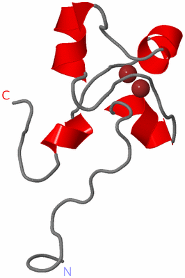 Image NMR Structure - all models