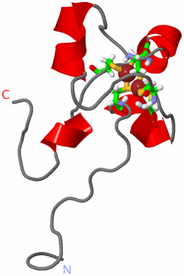 Image NMR Structure - model 1, sites