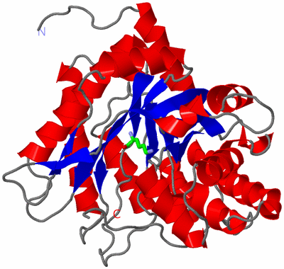 Image Asym. Unit - sites