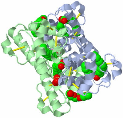 Image Biological Unit 3