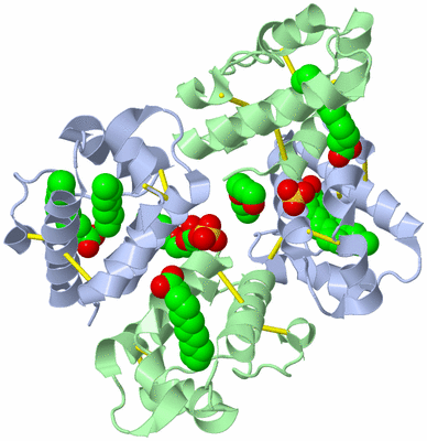 Image Biological Unit 4