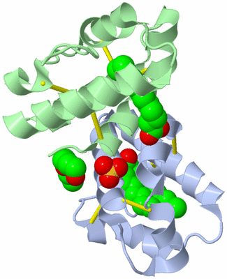 Image Biological Unit 5