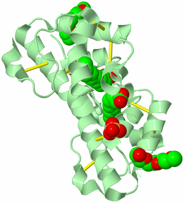 Image Biological Unit 6