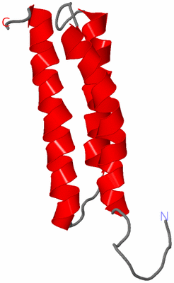 Image Theoretical Model