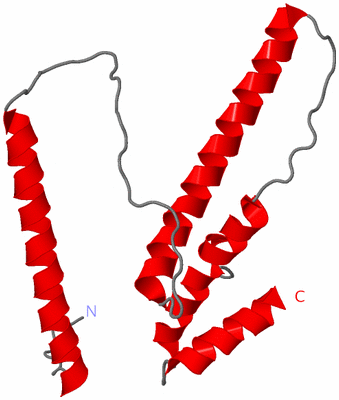 Image Theoretical Model
