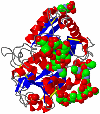 Image Asym./Biol. Unit