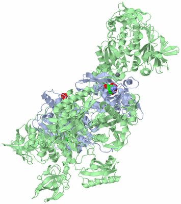 Image Biological Unit 1