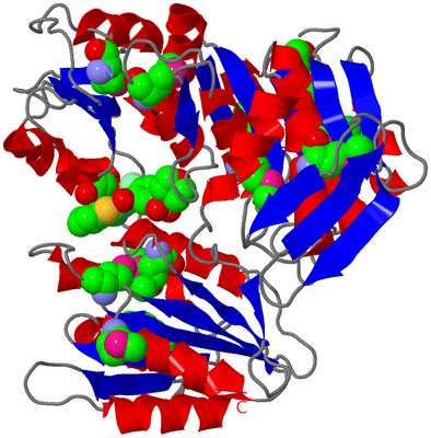 Image Asym./Biol. Unit