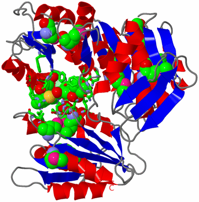 Image Asym./Biol. Unit - sites