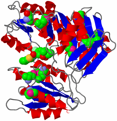 Image Asym./Biol. Unit