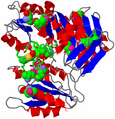 Image Asym./Biol. Unit - sites