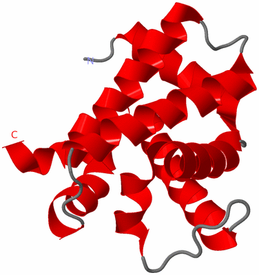 Image Theoretical Model