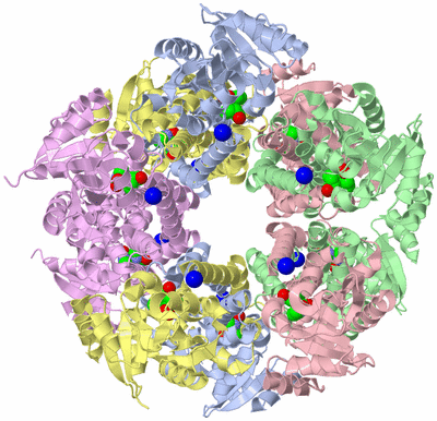 Image Biological Unit 1